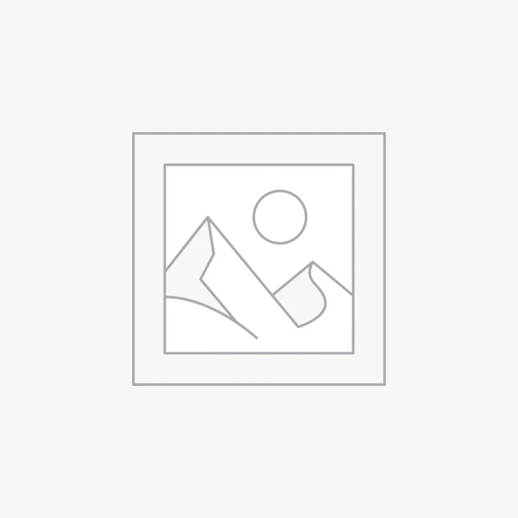 R.T 13 — B.M Vagone H40